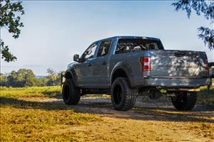 Fender Flares Defender BN Silver Spruce Ford F-150 2WD/4WD (2015-2020) Rough Country