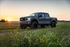 Fender Flares Defender TB Real Steel Ford F-150 2WD/4WD (2015-2020) Rough Country