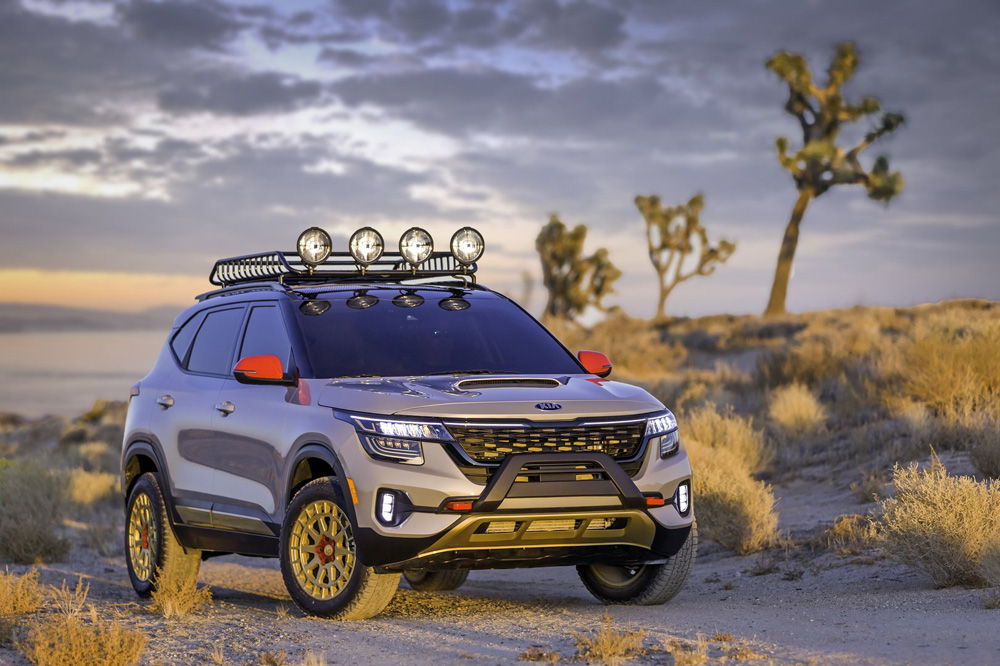 Kia Seltos Black Rhino Boxer