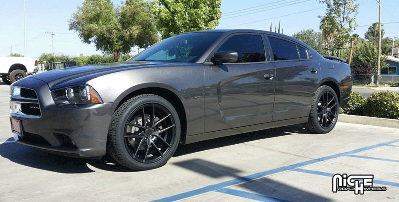 Dodge Charger Niche Sport Series Targa - M130 