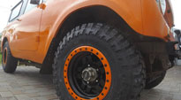 International Scout