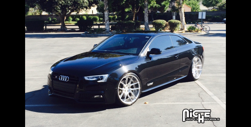 Audi S5 Niche Sport Series Targa - M131