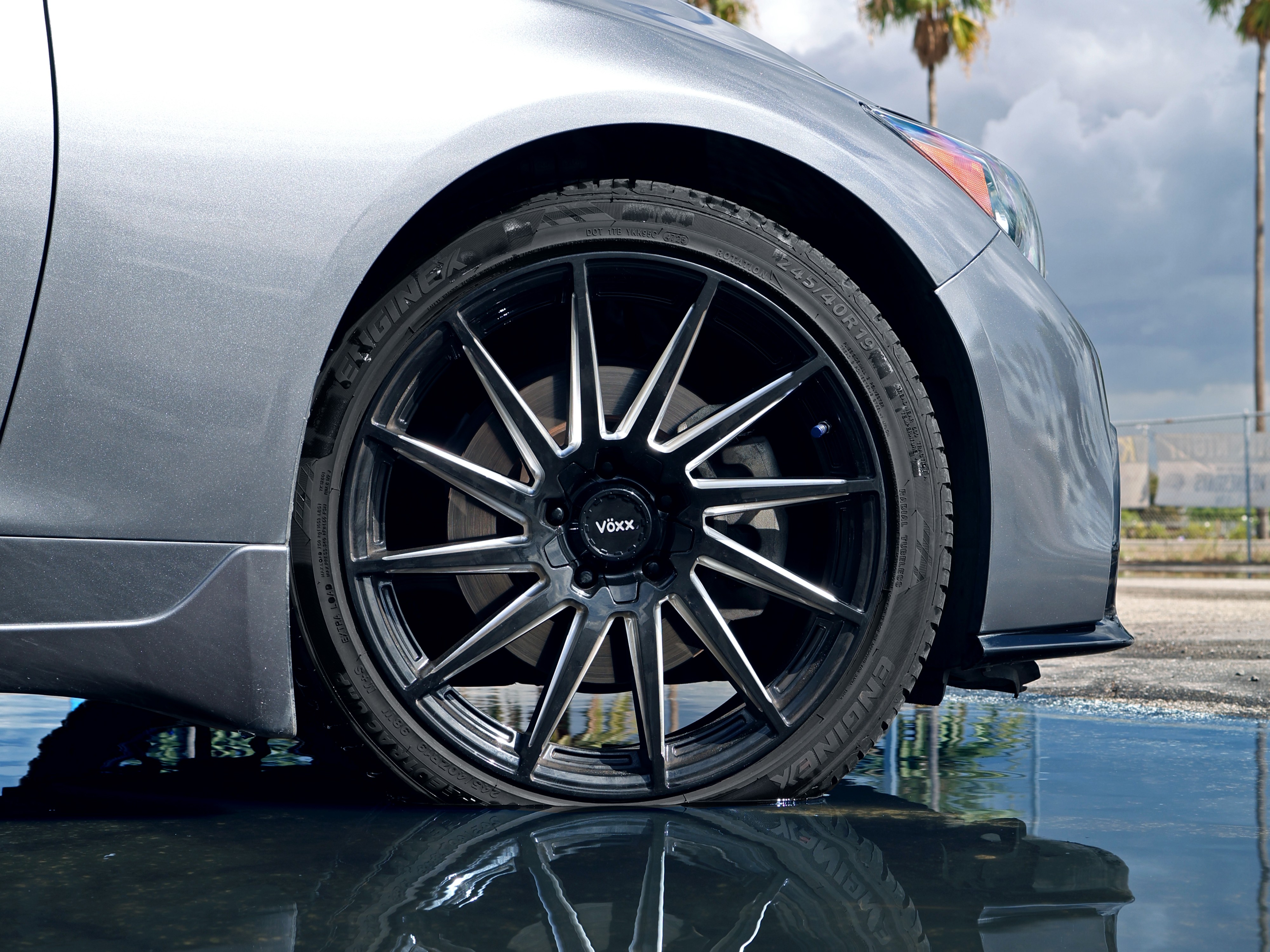 Infiniti Q50 Felina