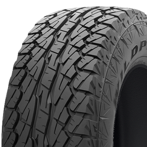 Wildpeak A/T01A Trail