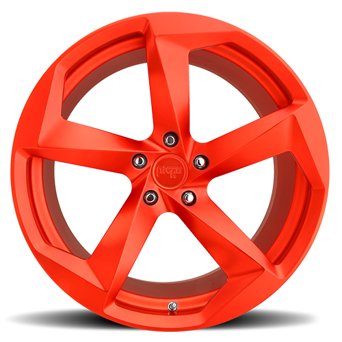 Niche Forged DTM