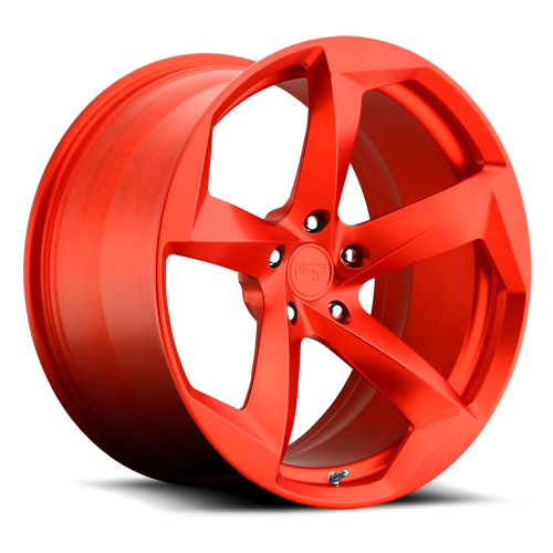 Niche Forged DTM