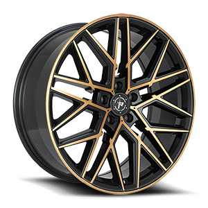 Gloss Black Bronze Face
