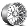 Niche Forged Gamma